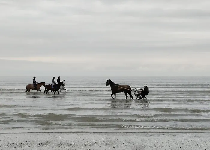 Les Planches Proche Place Morny *